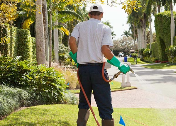 About Ahwahnee CA Pest Control